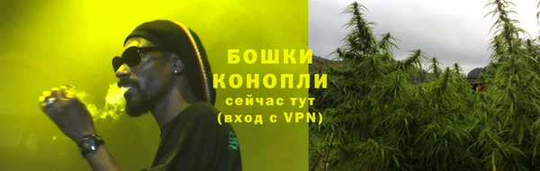 индика Кирсанов